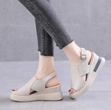 Beige (Model B)