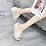 Creamy-White